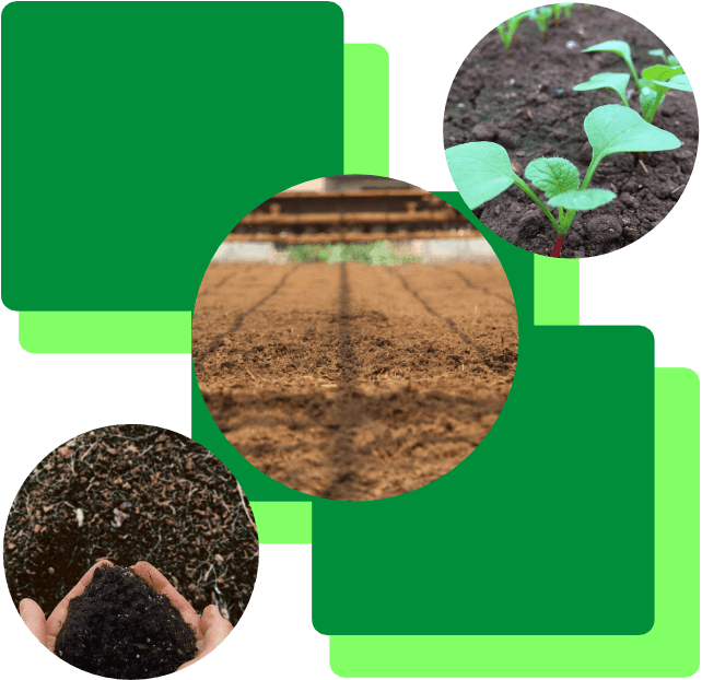 ぼかし たい肥　SEAの紹介