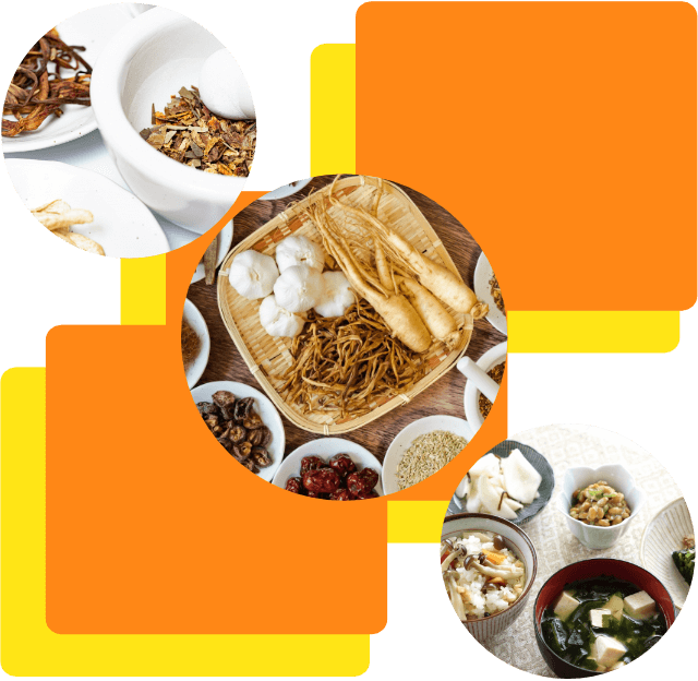 食と健康サポート商品の紹介